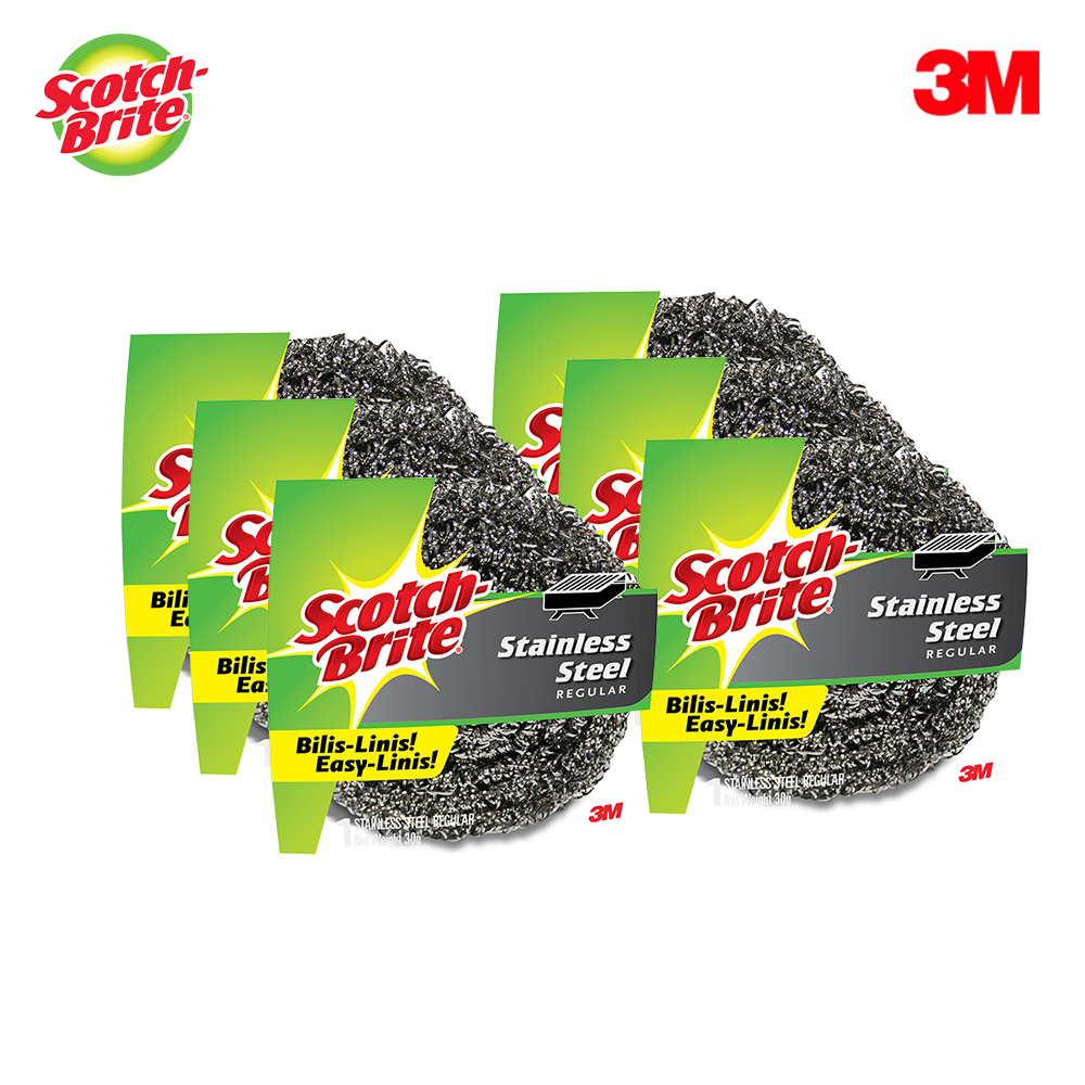 3M Scotch Brite Stainless Steel Ball 30g 6 PCS