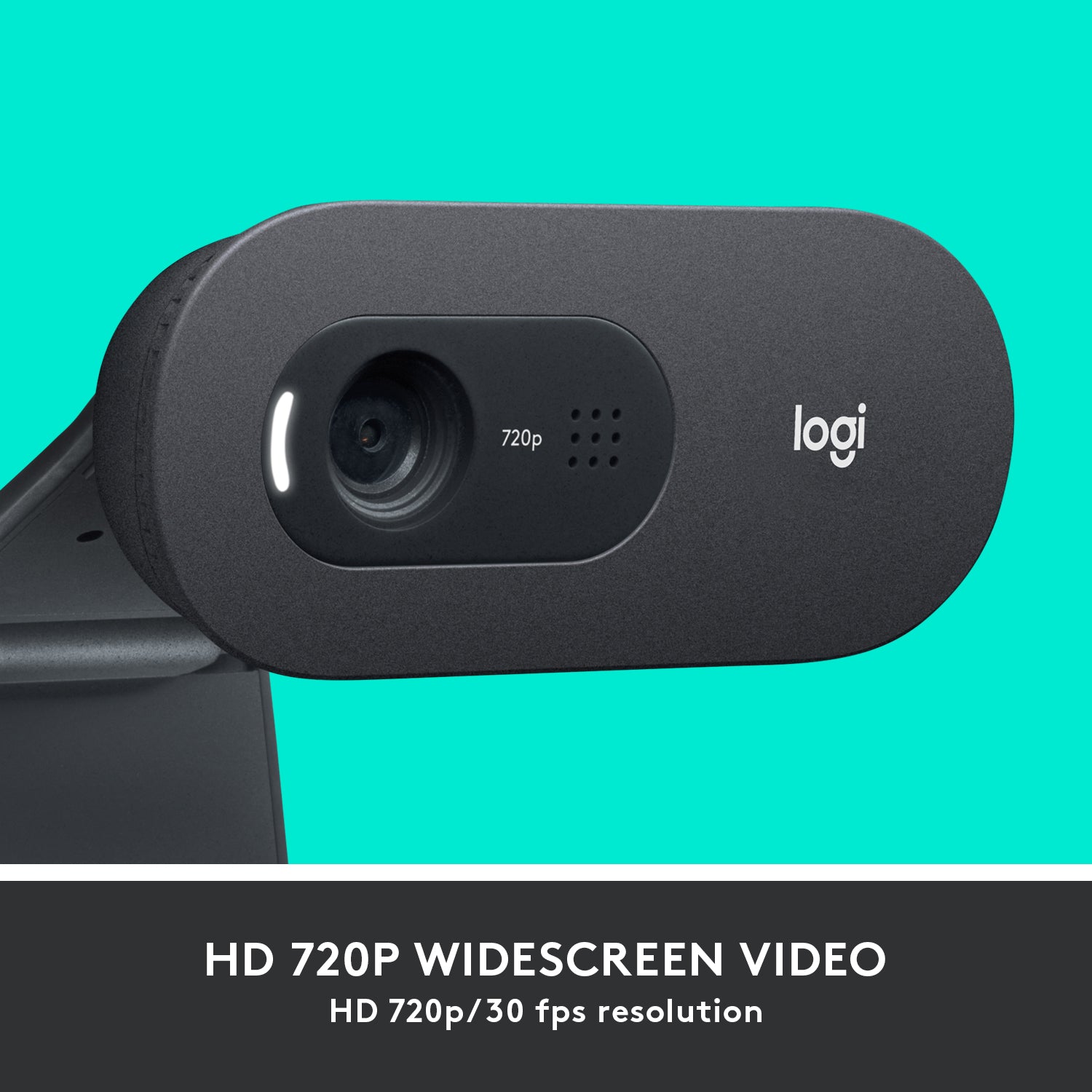 Logitech C505 HD Webcam - 720p HD External USB Camera for Desktop or Laptop with Long-Range Microphone, Compatible with PC or Mac - Grey